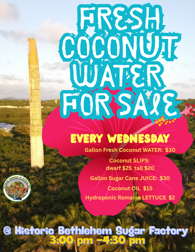 St. Croix Farmers in Action Coconut Sale