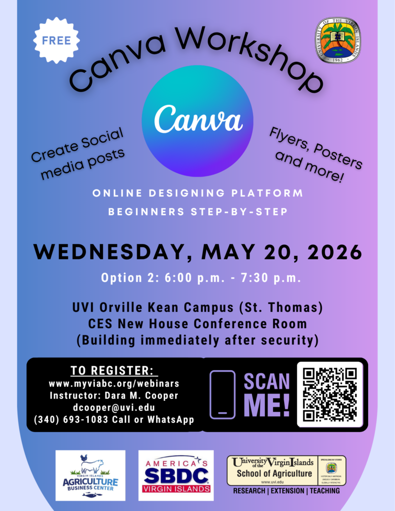 A flyer for a Canva Workshop on St. Thomas